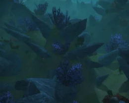 The Vile Reef