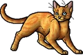 Thornclaw.apprentice.alt