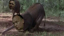Bormann and Fritzsche elephants