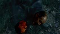 Weidling and Rundstedt monkeys sleeping