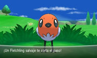 Fletchling salvaje