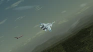 Su-37R and Fii