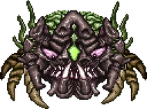 Ocram1