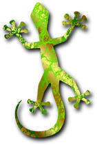 Gecko