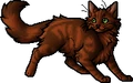 Foxleap.apprentice