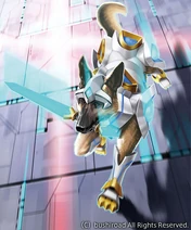 Rushgal