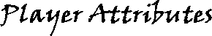 Player Attributes