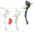 Lacrosse CF (unused) FFIX Art