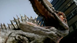 Spino-4.1-2