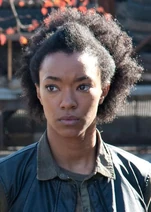 Sasha (TWD)
