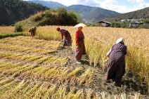 Bhutan - Flickr - babasteve (63)