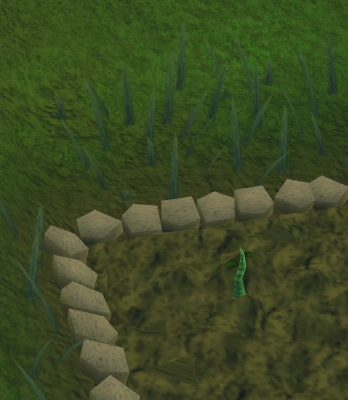 Fly trap 1.png