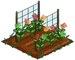 Gummi Bear 33