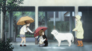 Yui's misfortune