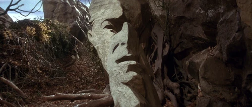 Jareth face 48.30
