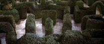 Jareth face 44.55