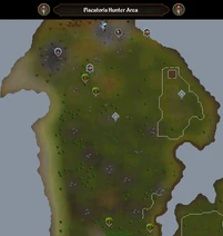 Piscatoris Hunter Area scan