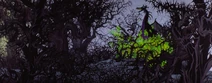 Sleeping-beauty-disneyscreencaps com-8095