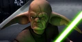 EvenPiellCloseUp-TC.png