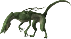Common jadinko