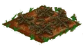 Dandelion withered.png