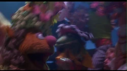 Mtigoof002