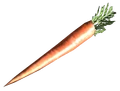 FO3 fresh carrot