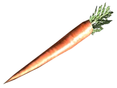 FO3 fresh carrot