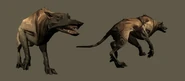 WolfHound Render