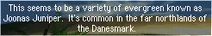 Danesmark