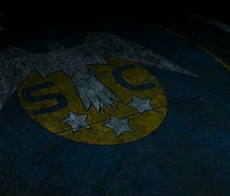 Scaf blue