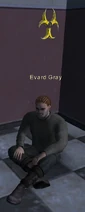 Evard Gray