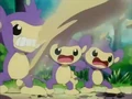 EP169 Ataque Arena.png