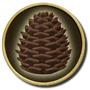 Ship-upgrade-materials-pine