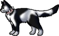 Jumper.rogue.png