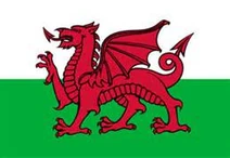 ThCATU22JJdragondavid