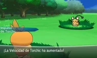 Torchic usar Impulso en X Y