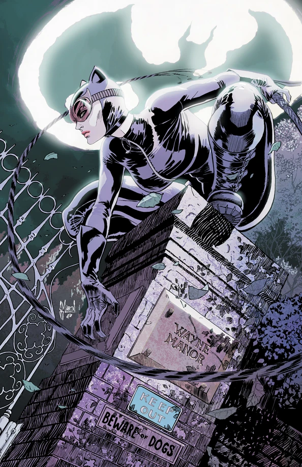 http://images3.wikia.nocookie.net/__cb20130919015523/batman/images/9/94/Catwoman_Vol_4-4_Cover-1_Teaser.jpg