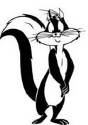 Penelope-Cat-754088.bmp