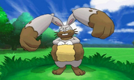 Diggersby Pokemon XY.png (183 KB) Diggersby Pokemon XY