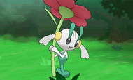 Floette Pokemon XY.png (166 KB) Floette Pokemon XY
