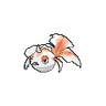 Goldeen XY