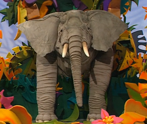 Ringo the Elephant