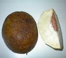 Roast Breadfruit