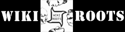 Place Based Grass Roots Groups Political Action Web