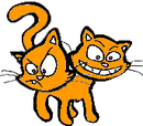 Cat with 2 Heads!