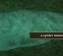 The Cave of Wonder