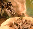 1979 in paleontology