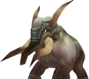Elekk