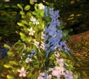 Wild Steelbloom